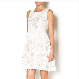 White Mystree Isabella lace dress